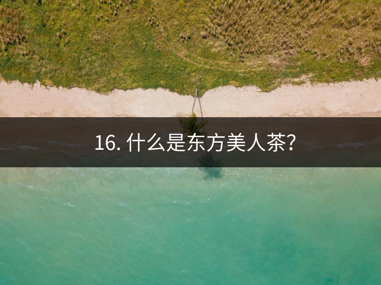 ? 16. 什么是東方美人茶？