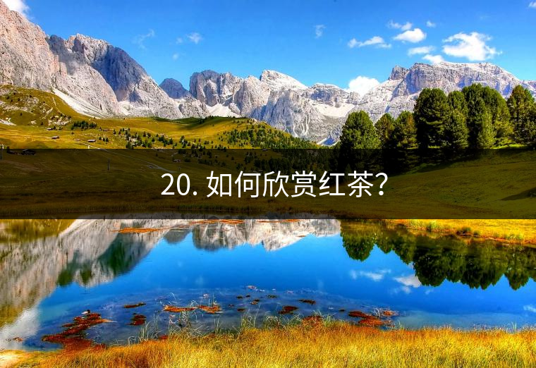? 20. 如何欣賞紅茶？