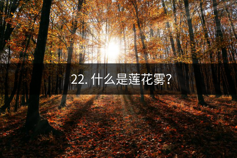 ? 22. 什么是蓮花霧？