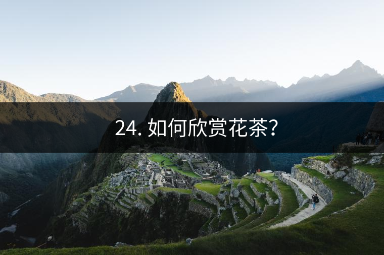 ? 24. 如何欣賞花茶？