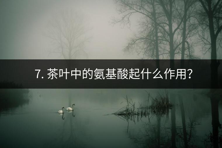 ? 7. 茶葉中的氨基酸起什么作用？