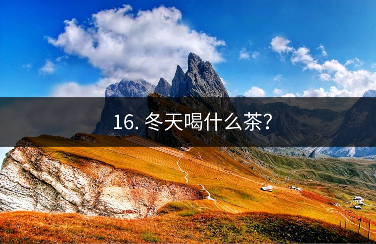 ? 16. 冬天喝什么茶？