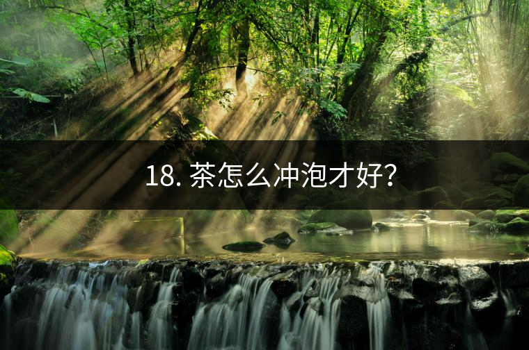 ? 18. 茶怎么沖泡才好？