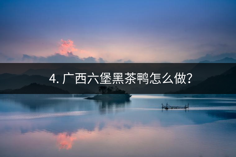 ? 4. 廣西六堡黑茶鴨怎么做？