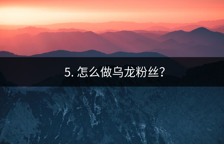? 5. 怎么做烏龍粉絲？