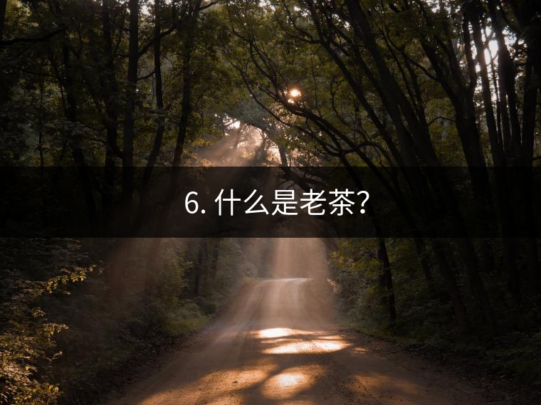 ? 6. 什么是老茶？