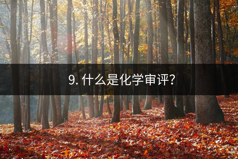 ? 9. 什么是化學(xué)審評？