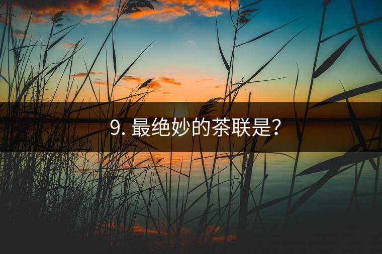 ? 9. 最絕妙的茶聯(lián)是？
