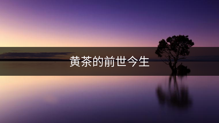 黃茶還能復興嗎?