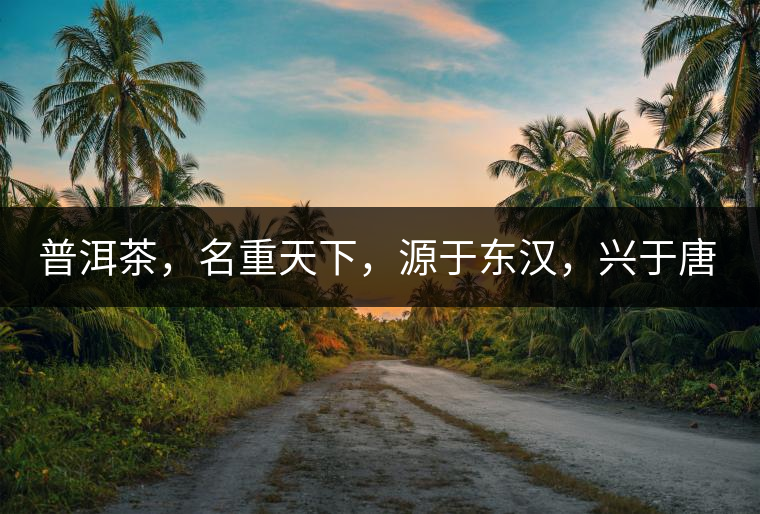 普洱茶，名重天下，源于東漢，興于唐宋，盛于明清。