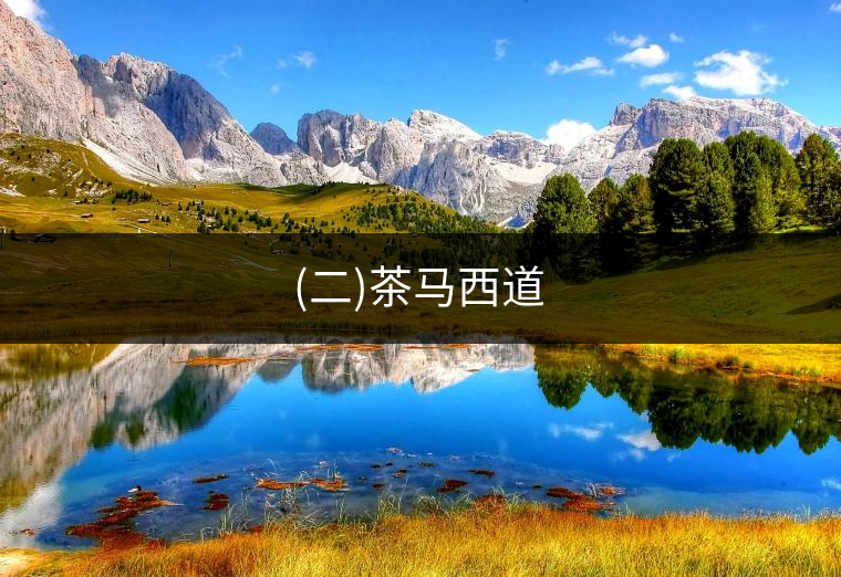 (二)茶馬西道