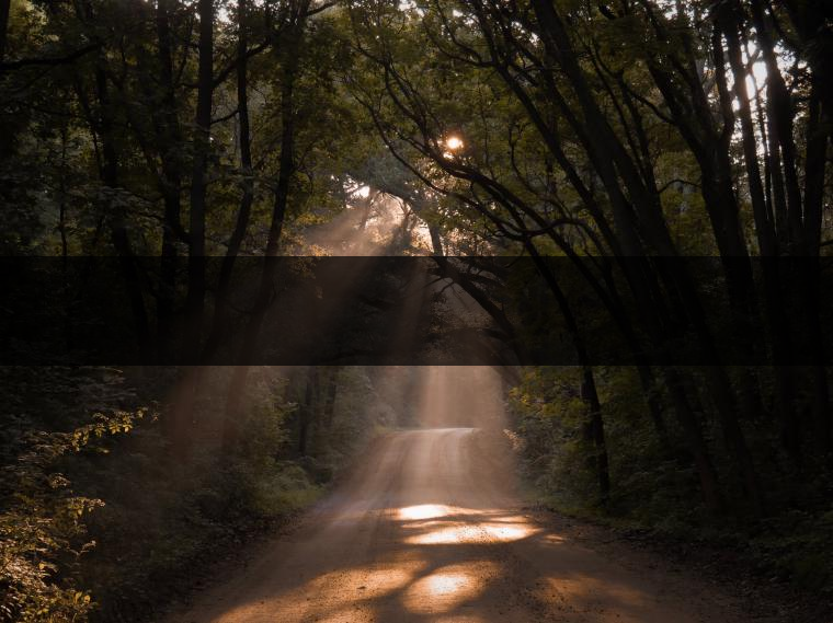 生活與石頭結(jié)緣