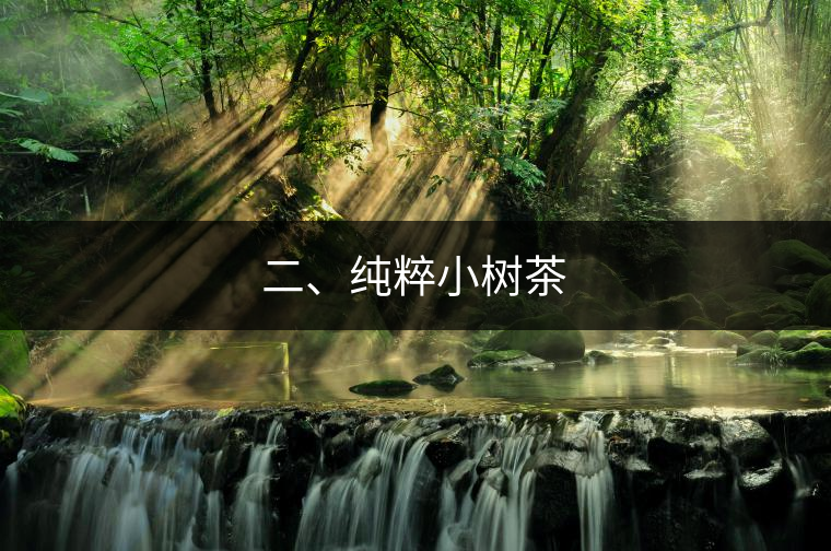 二、純粹小樹茶