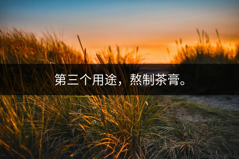第三個用途，熬制茶膏。