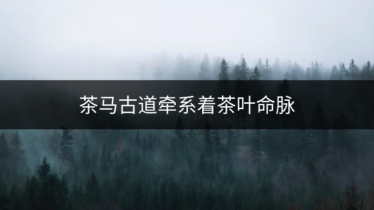 木匾:見(jiàn)證京城與云南極邊之連 木匾:見(jiàn)證京城與云南極邊之連