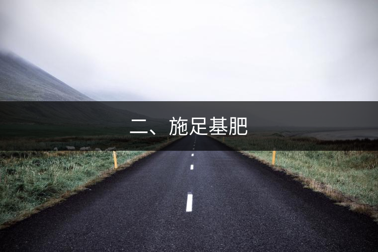 二、施足基肥