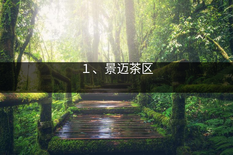 １、景邁茶區(qū)
?