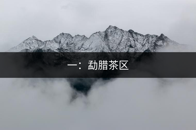 一:勐臘茶區(qū) 一:勐臘茶區(qū)