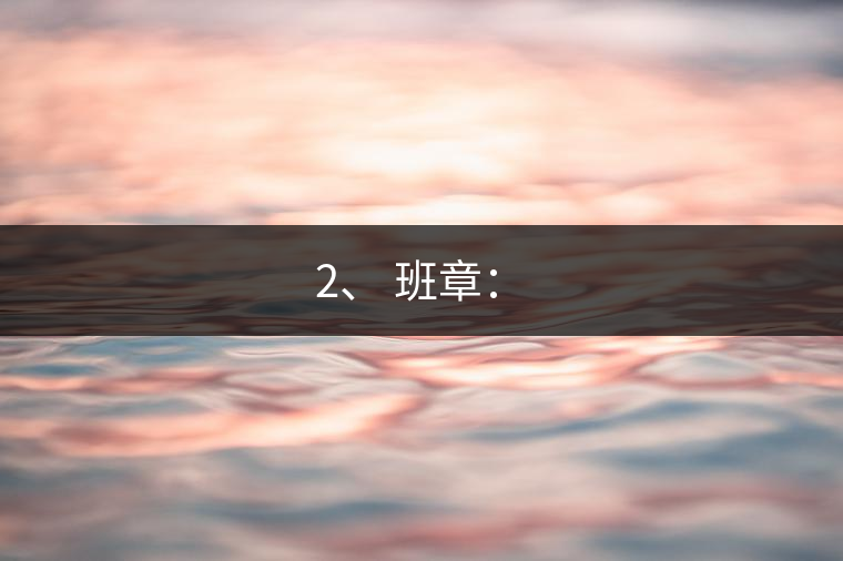 2、 班章：?