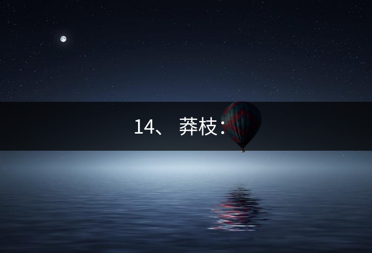 14、 莽枝：?