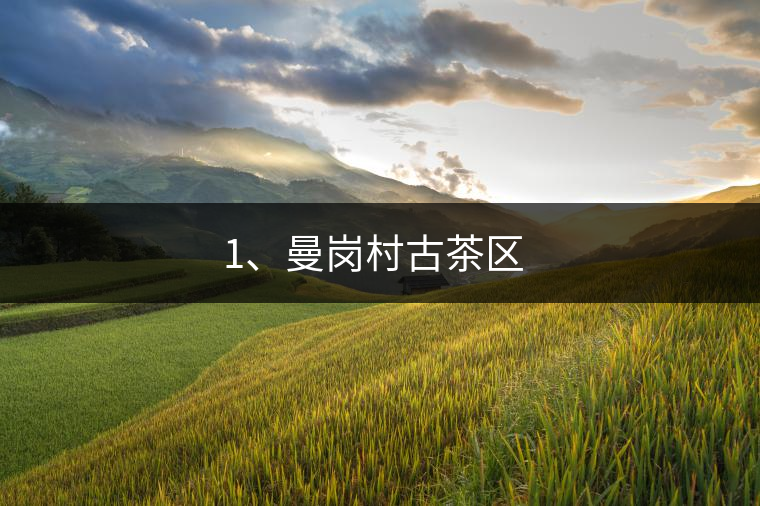 1、曼崗村古茶區(qū) ?