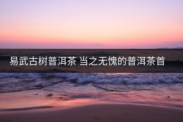 易武古樹普洱茶 當之無愧的普洱茶首選