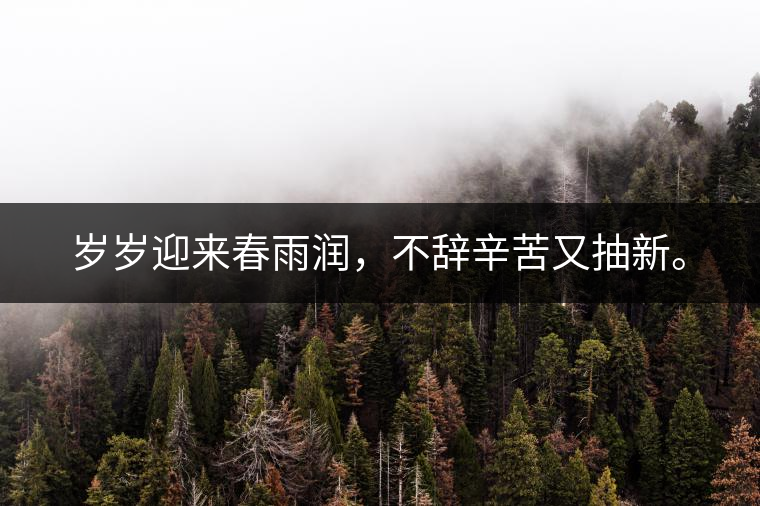 歲歲迎來春雨潤(rùn)，不辭辛苦又抽新。