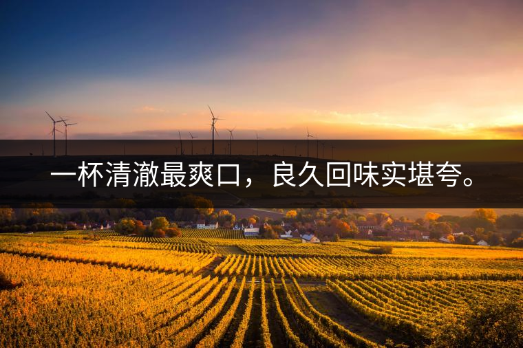 若能一日車船至，從此美名滿天涯。