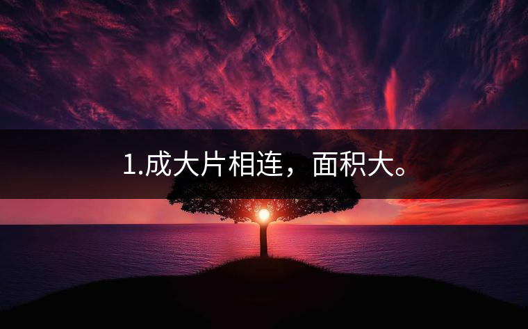 1.成大片相連，面積大。