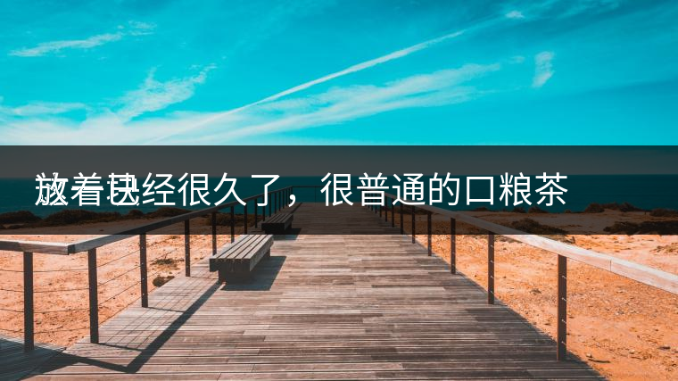 這一塊
放著已經(jīng)很久了，很普通的口糧茶，煙味很重，但回甘也可以，隨意喝喝吧。