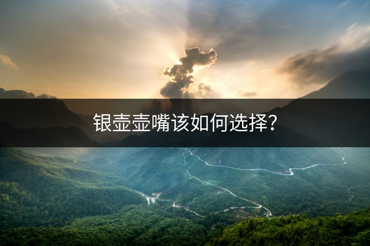 銀壺壺嘴該如何選擇？