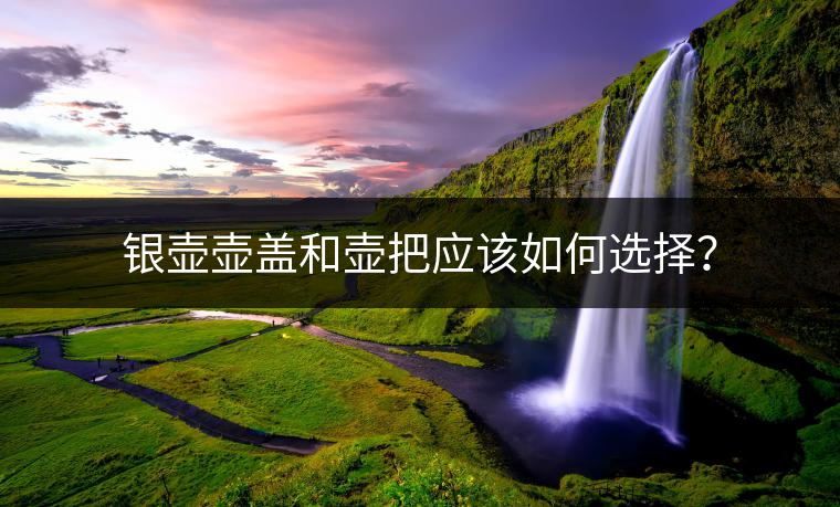 銀壺壺蓋和壺把應(yīng)該如何選擇？