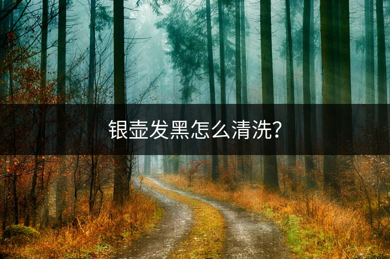 銀壺發(fā)黑怎么清洗？