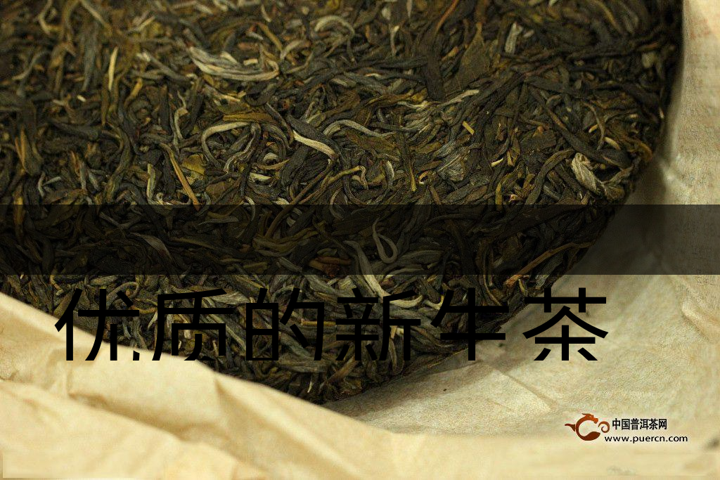 優(yōu)質(zhì)的新生茶是什么樣的？