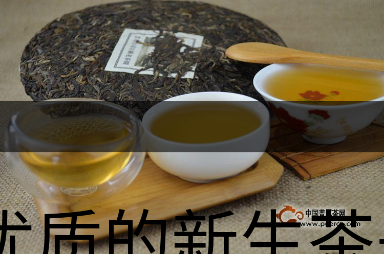 優(yōu)質(zhì)的新生茶是什么樣的？-1