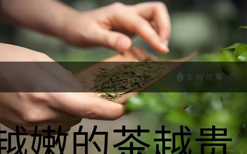 越嫩的茶越貴，但越貴的茶就越好嗎？