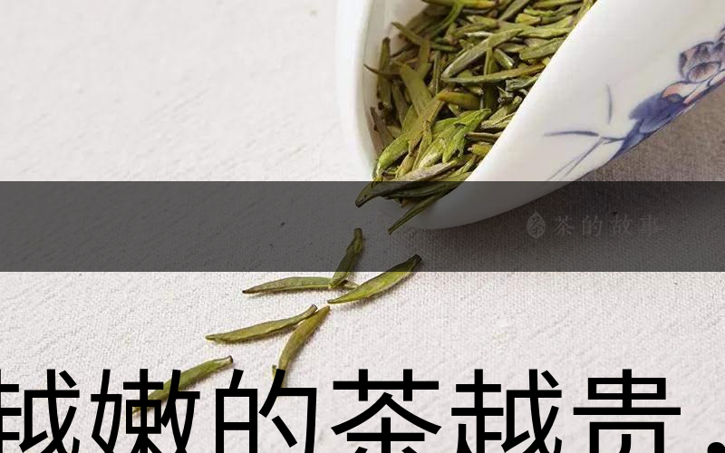 越嫩的茶越貴，但越貴的茶就越好嗎？-1
