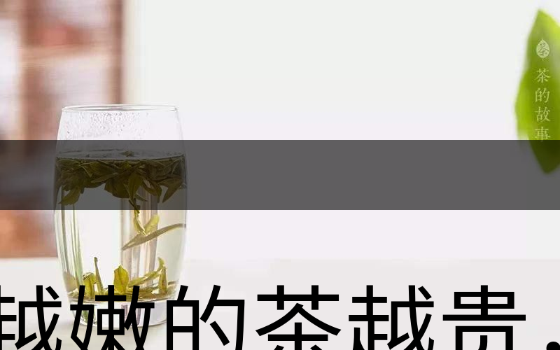 越嫩的茶越貴，但越貴的茶就越好嗎？-2