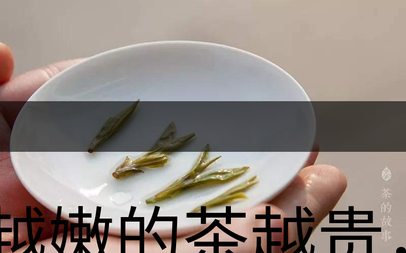 越嫩的茶越貴，但越貴的茶就越好嗎？-3