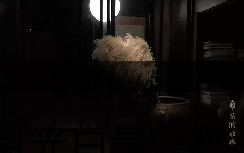 月光白是一種什么茶？