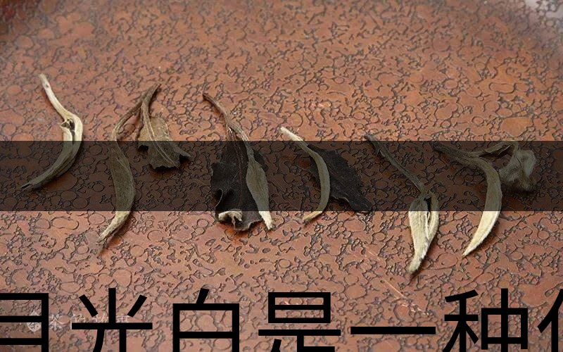月光白是一種什么茶？-1