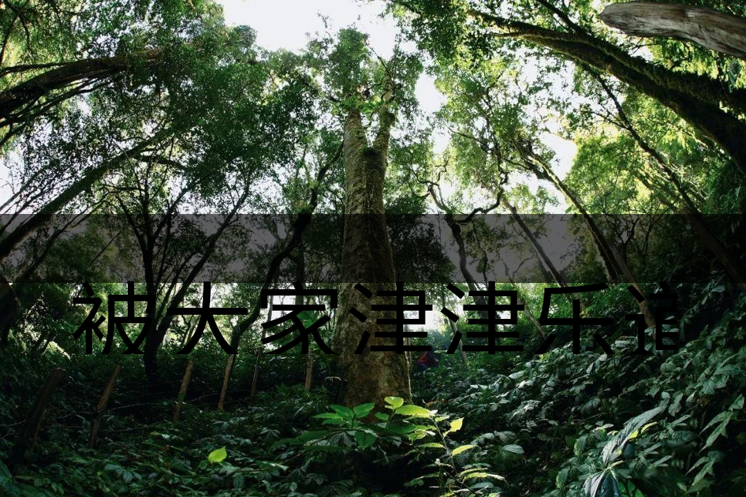 被大家津津樂道的森林茶，你知道是什么？-6-1