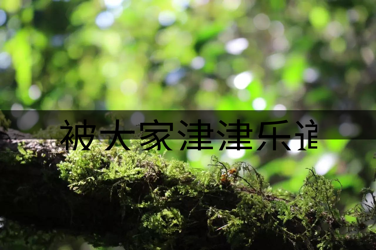 被大家津津樂道的森林茶，你知道是什么？-8-1