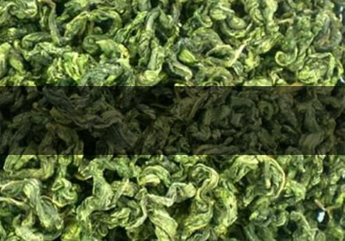 刺五加茶什么時(shí)候采摘-多少錢(qián)-1