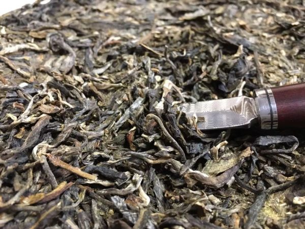 怎么樣泡好落水洞普洱茶？