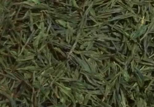 什么是海青茶？沖泡手法詳細(xì)教學(xué)！