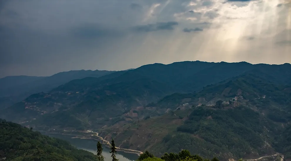 2021年磨烈：風(fēng)頭正勁的后起之秀，到底有何特點？