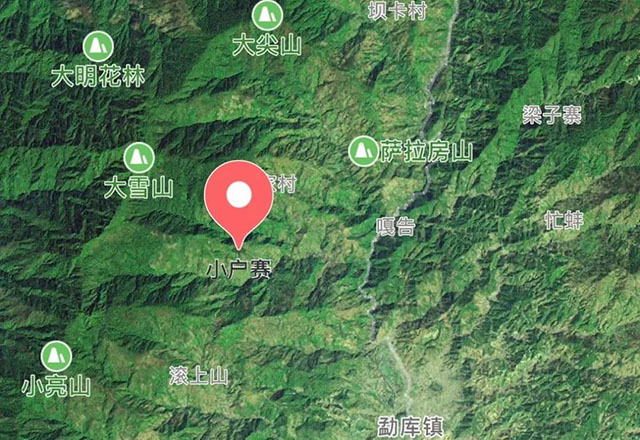 2021年小戶賽古樹秋茶有什么特點(diǎn)？