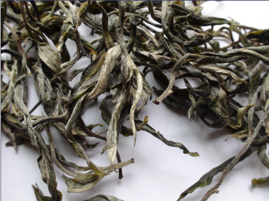 2021年馬鞍山古樹秋茶價(jià)格？