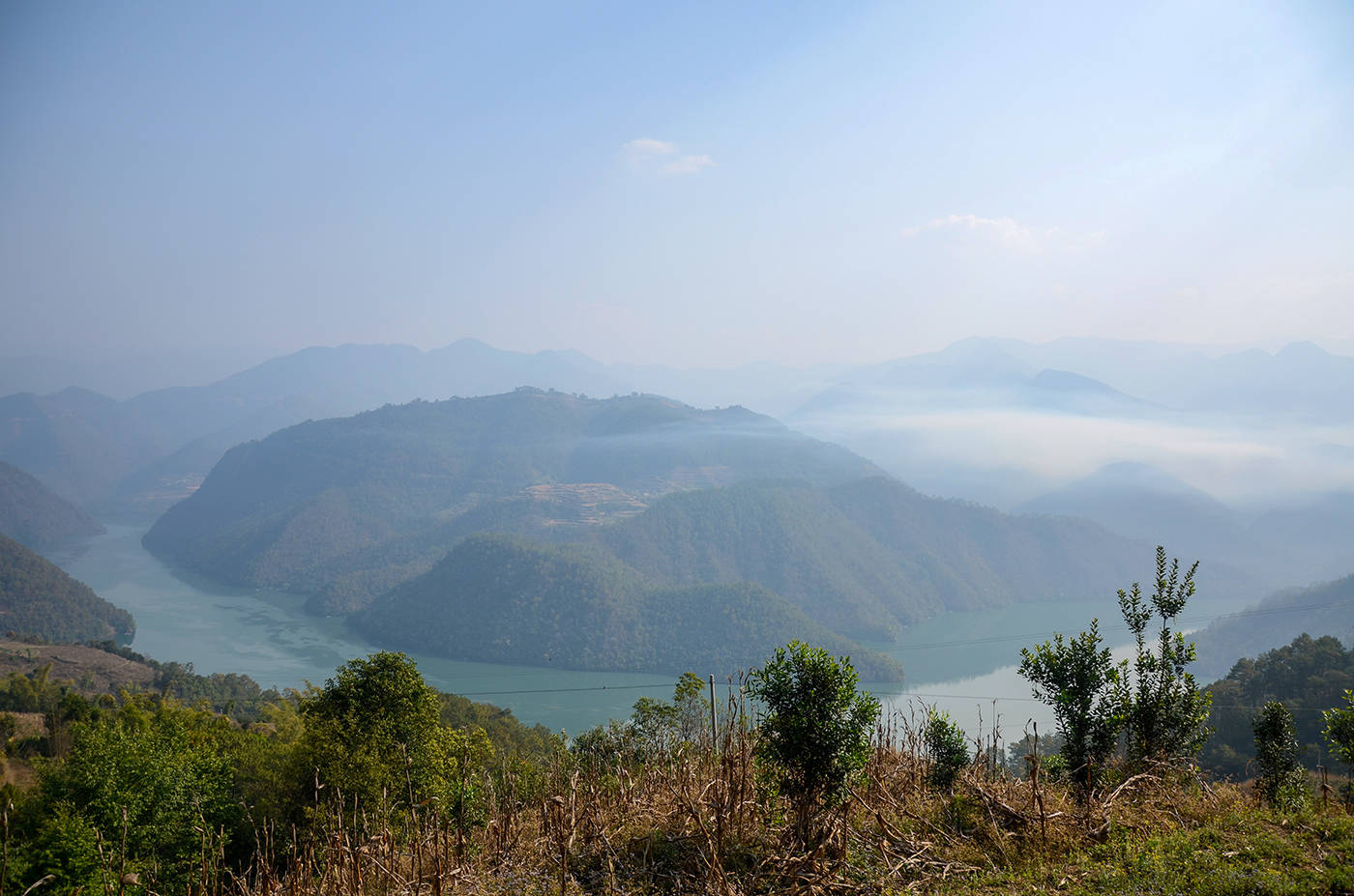 2021年白鶯山古樹(shù)秋茶，佛茶有什么魅力？